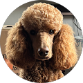 erica nashan profile picture